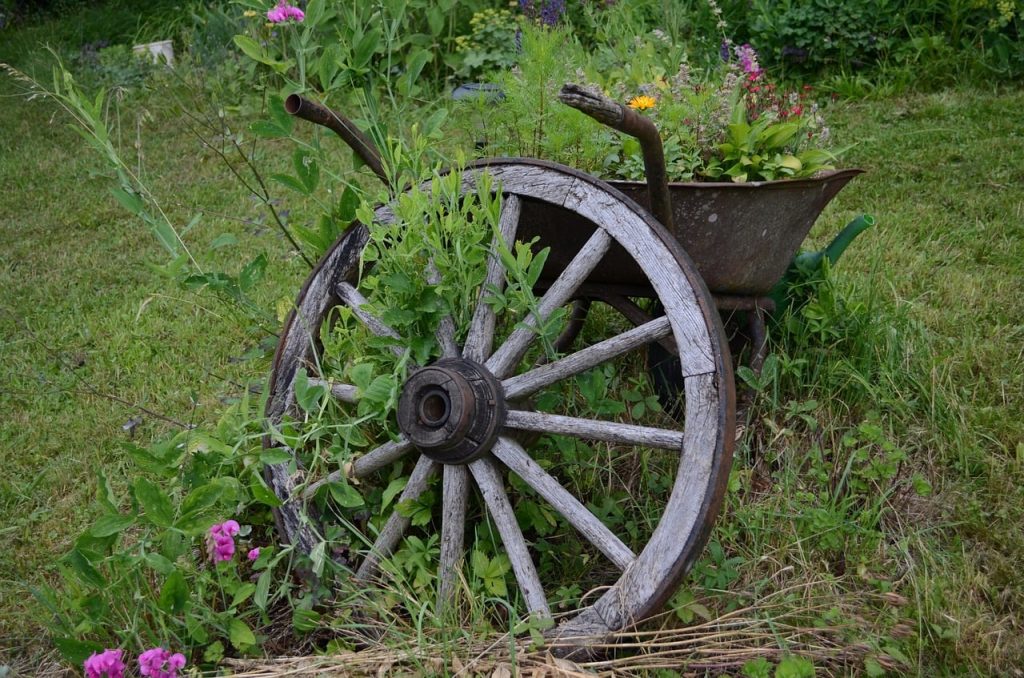 wheelbarrow in low maintenance garden