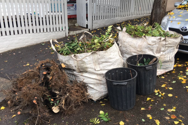 GARDEN WASTE REMOVAL