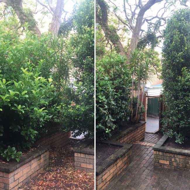 Green Waste Removal Sydney Green Waste Removal Sydney