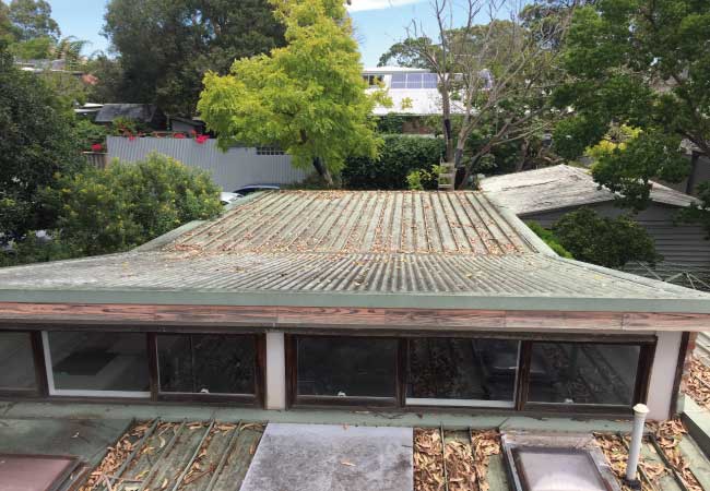 Gutter Cleaning Before