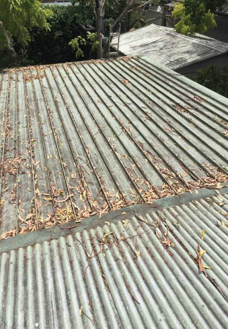 Gutter Cleaning Before
