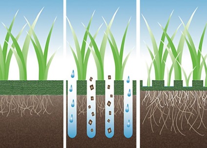 Lawn aeration LAWN AERATION