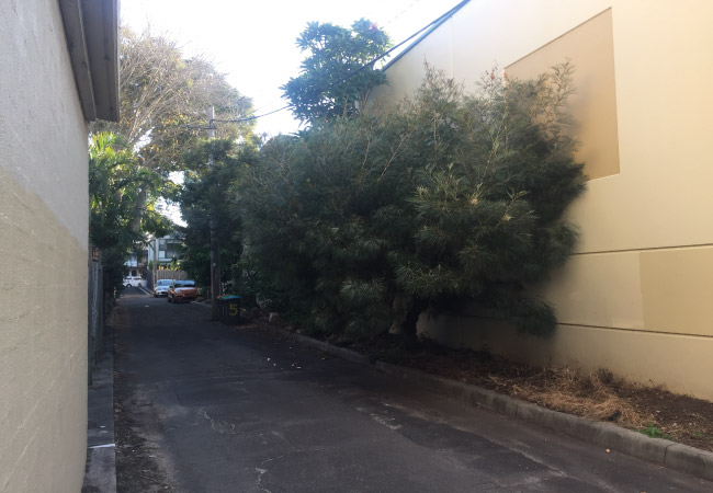Garden-R Strata Garden Maintenance Sydney