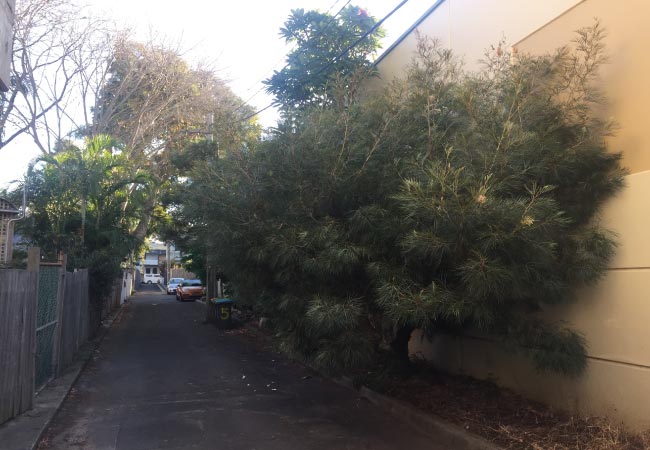Garden-R Strata Garden Maintenance Sydney