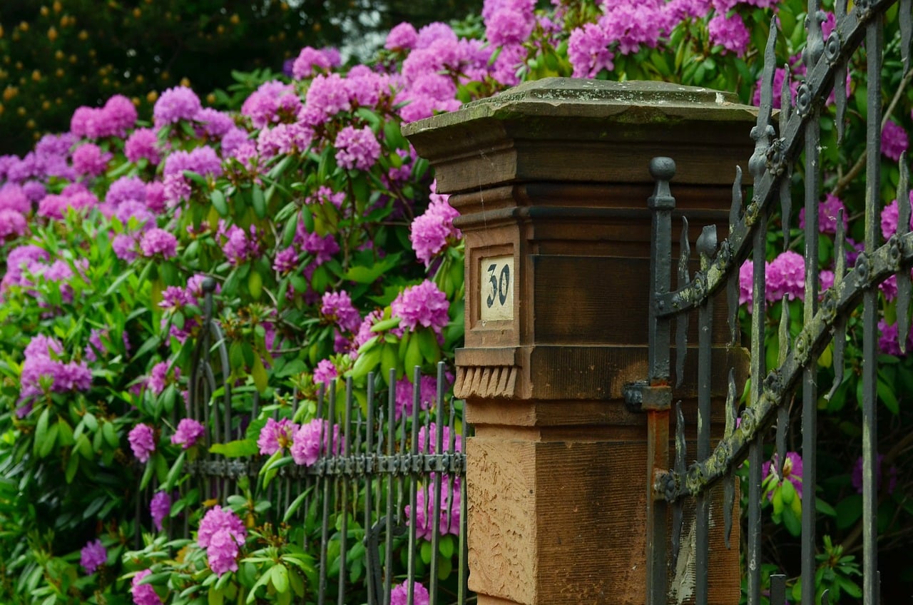 landscaping and flowers