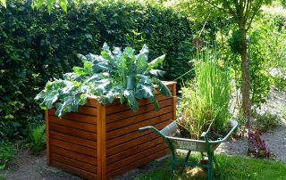 Raised Garden Bed