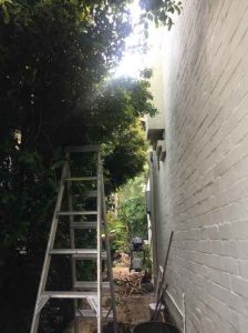 pre-sale garden makeover