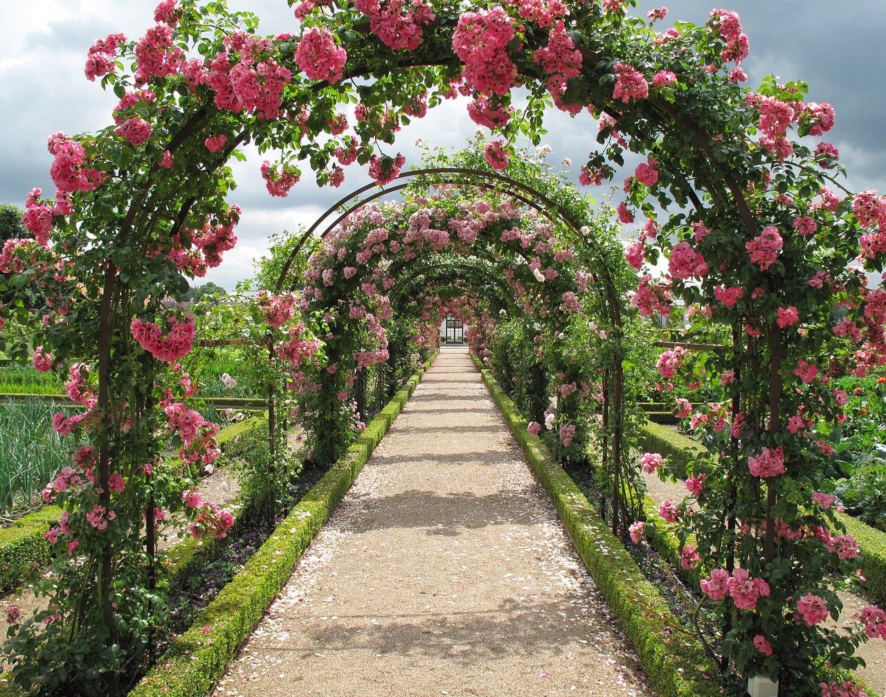 How to Grow Your Very Own Rose Garden  Garden-R