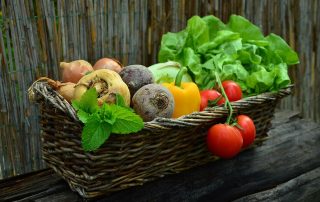 vegetable garden