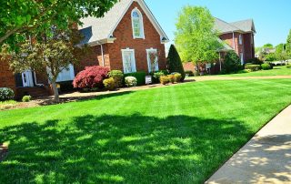 lawn care and lawn maintenance