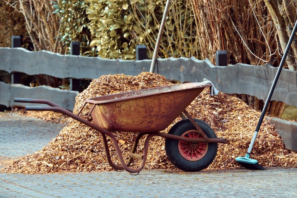 winter gardening